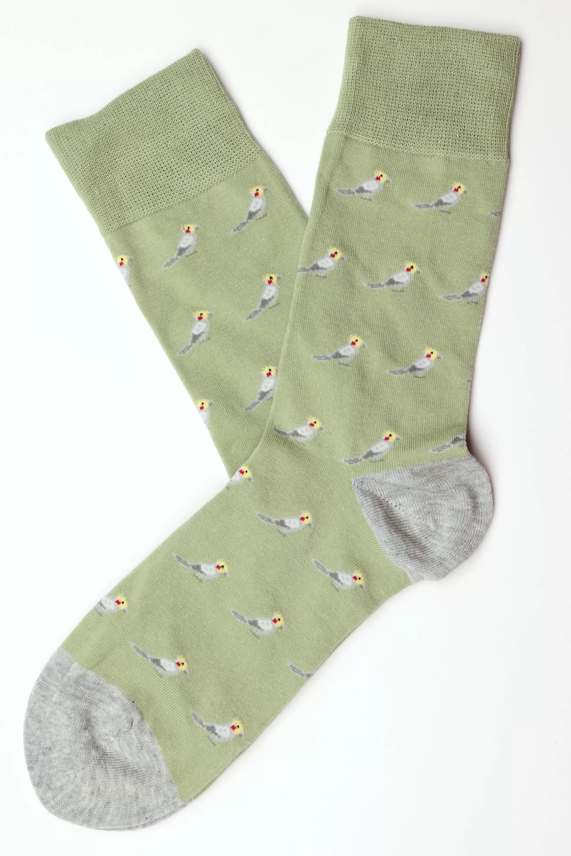 Lodge Parrot Sock^Barkers New